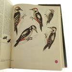 Świat zwierząt red. Henryk Garbarczyk [1984]