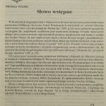 Katolicki komentarz biblijny red. nauk. wyd. oryg. Raymond E. Brown, Joseph A. Fitzmyer, Roland E. Murphy red. nauk. wyd. pol. Waldemar Chrostowski [2001]