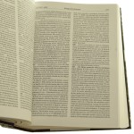 Katolicki komentarz biblijny red. nauk. wyd. oryg. Raymond E. Brown, Joseph A. Fitzmyer, Roland E. Murphy red. nauk. wyd. pol. Waldemar Chrostowski [2001]