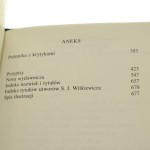 Teatr i inne pisma o teatrze Stanisław Ignacy Witkiewicz [Dzieła Zebrane / 1995]