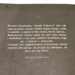 Zły Tyrmand Leopold opracowanie graficzne Jan Młodożeniec [1990]