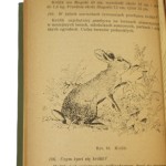 Vademecum myśliwego Stanisław Godlewski [1955]
