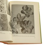 Vergrossern mit allen Finessen [Efekty fotograficzne i makrofotografia] Otto Croy [1959]