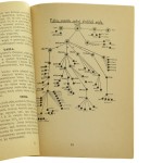 Materiałoznawstwo dla stolarzy, cieśli, bednarzy i pokrewnych zawodów oraz dla malarzy, lakierników i pokrewnych zawodów podręcznik dla szkół zawodowych, egzaminów czeladniczych i mistrzowskich oraz do użytku praktycznego [1945]