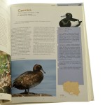 Ptaki Polski Encyklopedia ilustrowana Andrzej G. Kruszewicz [2007]