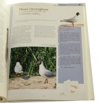 Ptaki Polski Encyklopedia ilustrowana Andrzej G. Kruszewicz [2007]