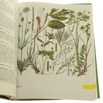Świat roślin, skał i minerałów zespół aut. Martin Červenka [et al.] [1993]