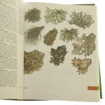 Świat roślin, skał i minerałów zespół aut. Martin Červenka [et al.] [1993]