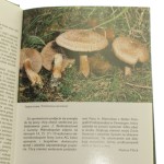 Jaki to grzyb? Oznaczanie, zbiór, użytkowanie Markus Fluck [1995]
