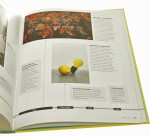 Chronologia sztuki Oś czasu kultury zachodniej od czasów prehistorycznych po współczesne Redakcja Iain Zaczek [2019]