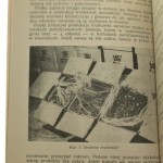 Mrożonki na naszym stole Ludmiła Bartczak-Grudowa [1966]