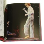 David Bowie [nieoficjalna biografia] Sean Egan [2013]