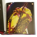 David Bowie [nieoficjalna biografia] Sean Egan [2013]