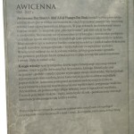 Księga wiedzy Awicenna przeł. Bogdan Składanek [Wielcy Filozofowie / 2010]
