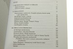 Obraz płynny Georges Didi-Huberman i dyskurs historii sztuki Leśniak Andrzej (Horyzonty Nowoczesności) (2010)