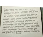 Miłośnik wulkanów Sontag Susan [1997]