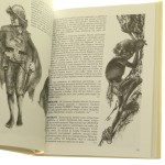 Bestiariusz Tolkienowski Day Sylwia [1996]