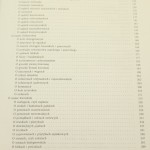 Opis obyczajów za panowania Augusta III ​Kitowicz Jędrzej [2003]