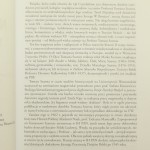 Niepiękny wiek XX kom. red. Błażej Brzostek [et al.] [2010]