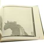 Narcyz Witczak-Witaczyński tekst i wybór fotografii: Magdalena Hartwig tłumaczenie: Richard Bialy [2016]