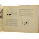Eine kleine frauengymnastik zur verhutung des kreuzschmerzes [Kobieca gimnastyka zapobiegająca bólom pleców] H. Noack K. H. Sommer (1957)
