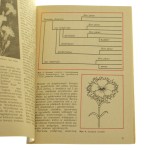 Goździki w ogródku rabatowe, skalne... Kazimierz Mynett [1985]