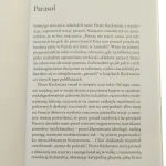 Parasol Simona Leysa Pierre Boncenne [2023]