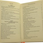 Wszyscy jesteśmy dziwni o micie masowości i końcu posłuszeństwa Seth Godin [tł. Magda Witkowska] [2014]