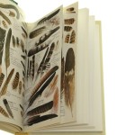 Ptaki Kieszonkowy atlas ptaków najczęściej obserwowanych w lasach środkowoeuropejskich oraz ich jaj, gniazd i piór, zawierający opisy biologii i morfologii poszczególnych gatunków Gottfried Amann (Flora i Fauna Lasów) [1995]