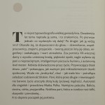 Beata Tyszkiewicz portret damy Anna Augustyn-Protas [2020]