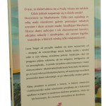 Piękny przedmiot Steve Martin przeł. Jacek Konieczny [2013]