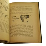 Wiadomości archeologiczne t. VIII redaktor Włodzimierz Antoniewicz [1923]