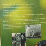 Apetyt na cuda Przepis na uczonego Dawkins Richard [2016]