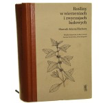 Rośliny w wierzeniach i zwyczajach ludowych – Słownik Adama Fischera Monika Kujawska, Łukasz Łuczaj, Joanna Sosnowska, Piotr Klepacki [2016]
