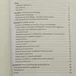 Dwory arcybiskupów gnieźnieńskich do 1493 r. struktura, urzędy, ludzie Łukasz Włodarski [2023]
