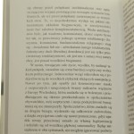 O klownach Dyktator i Artysta Manea Norman [Meridian / 2001]