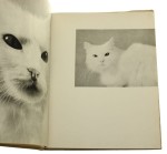 Koty Jan Styczyński [obwoluta i grafika Wiktor Górka] [1960]