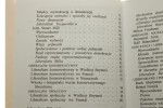 Liberalizm zarys myśli politycznej XIX i XX wieku Zbigniew Rau [Biblioteka Polityczna Aletheia / 2000]