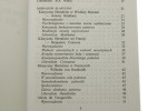 Liberalizm zarys myśli politycznej XIX i XX wieku Zbigniew Rau [Biblioteka Polityczna Aletheia / 2000]