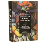 Nowe formy w malarstwie i wynikające stąd nieporozumienia Szkice estetyczne ​Witkiewicz Stanisław Ignacy [Witkiewicz Stanisław Ignacy 1885-1939. Dzieła zebrane t. 8]