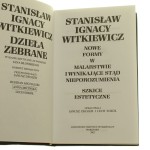 Nowe formy w malarstwie i wynikające stąd nieporozumienia Szkice estetyczne ​Witkiewicz Stanisław Ignacy [Witkiewicz Stanisław Ignacy 1885-1939. Dzieła zebrane t. 8]