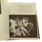 W metafizycznej dziurze teatr Witkacego w Zakopanem Barbara Świąder [2004]