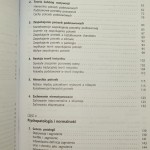 Motywacja i osobowość Abraham Maslow [Biblioteka Klasyków Psychologii / 2006]