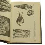 Technologia zdobienia szkła Wacław Nowotny [1978]