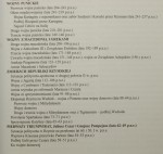 Armie świata antycznego Republika Rzymska i Kartagińczycy Daniel Gazda [2006]