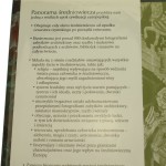 Panorama średniowiecza Robert Bartlett [2002]