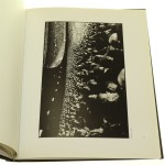 Open [Witold Flak] [autograf / 2014]