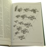 Wyprawy krzyżowe Armie ludów tureckich Michałek Andrzej (2001)