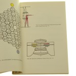 Kaprysy koloru w fotografii Andrzej Voellnagel [1995]