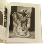 signs of freedom (5).JPG